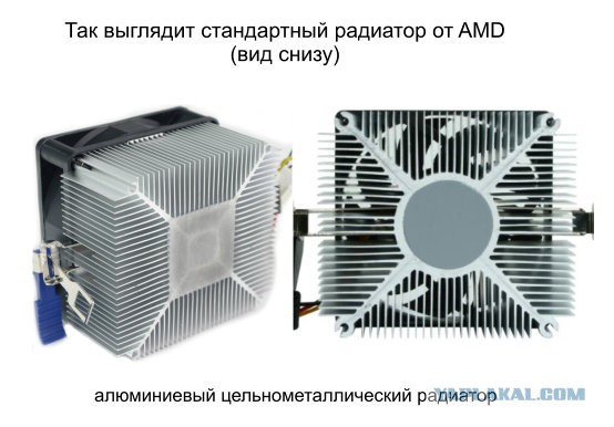 У паренька небольшая проблема с мозгом