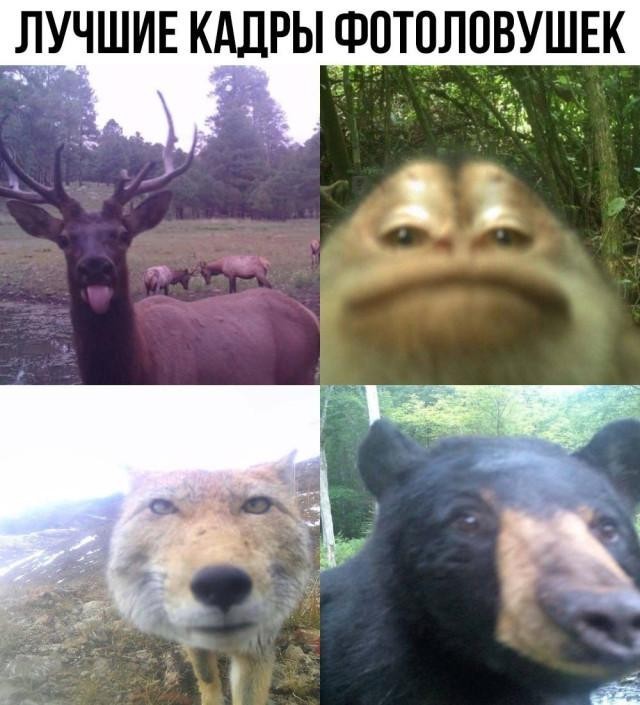 Хотите пустоты? Дарю вам частичку!