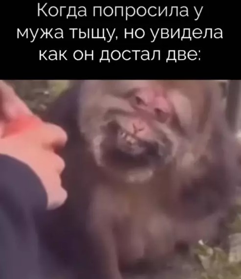 Картиночки, баянчики 16 марта