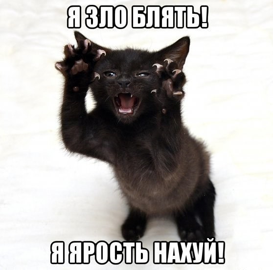 С рук не кормить!