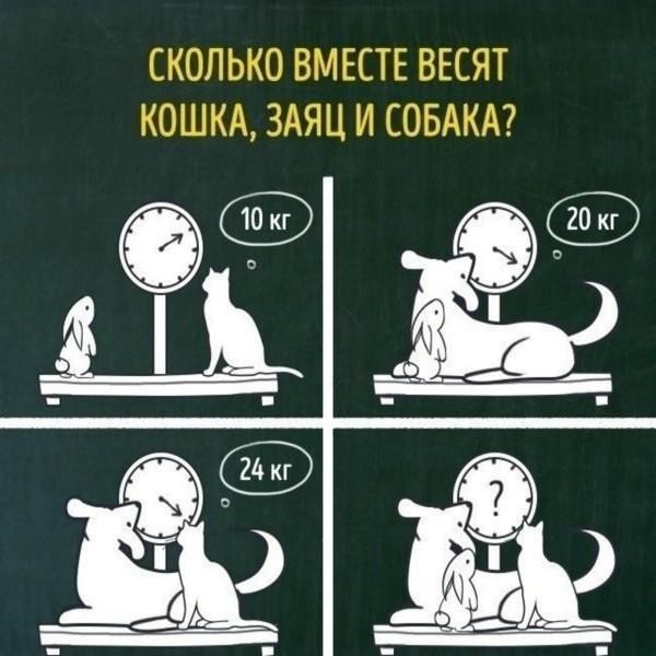 Картинки на 20.06.2026