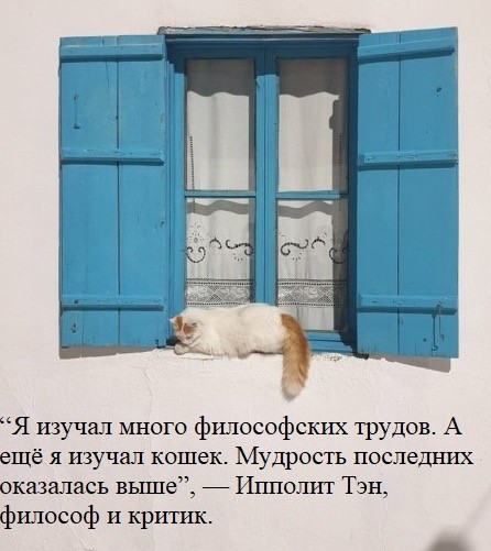 Веселое настроение в картинках 31.07.26