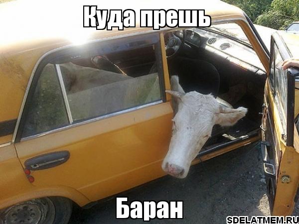 Мотоциклист VS Баран. Реванш.