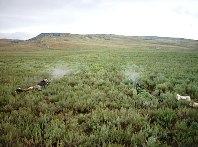 Мирная стрельба в Дагестане