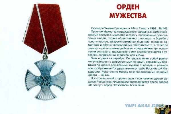 Что такое быть настоящим мужчиной?