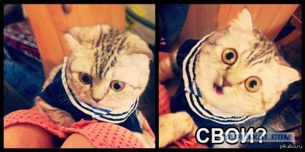 Сенсорное окно!
