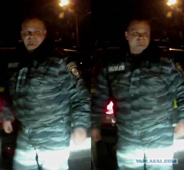 Беркут растрощил водителю автомобиль.