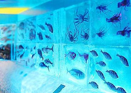 Замороженный аквариум