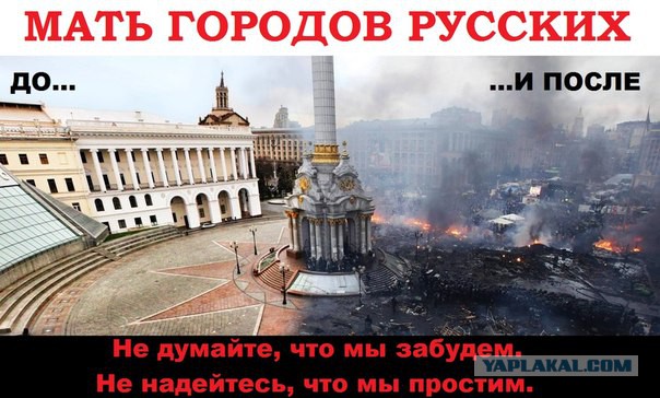 Десяток карикатур