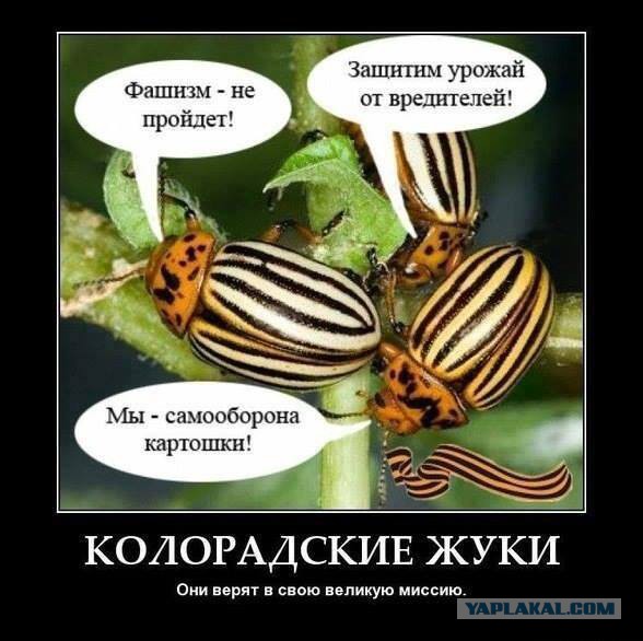 Срочное заявление народного губернатора Луганской