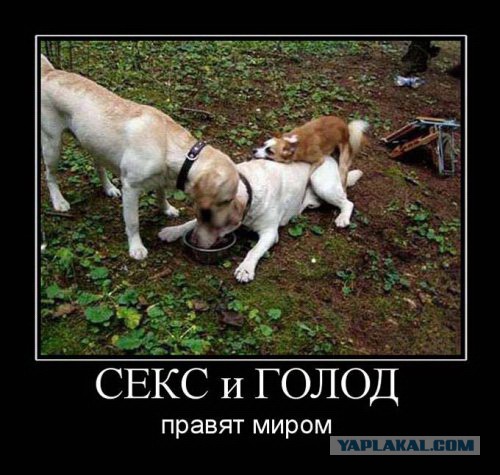 Смешные комментарии из социальных сетей 09.06.14