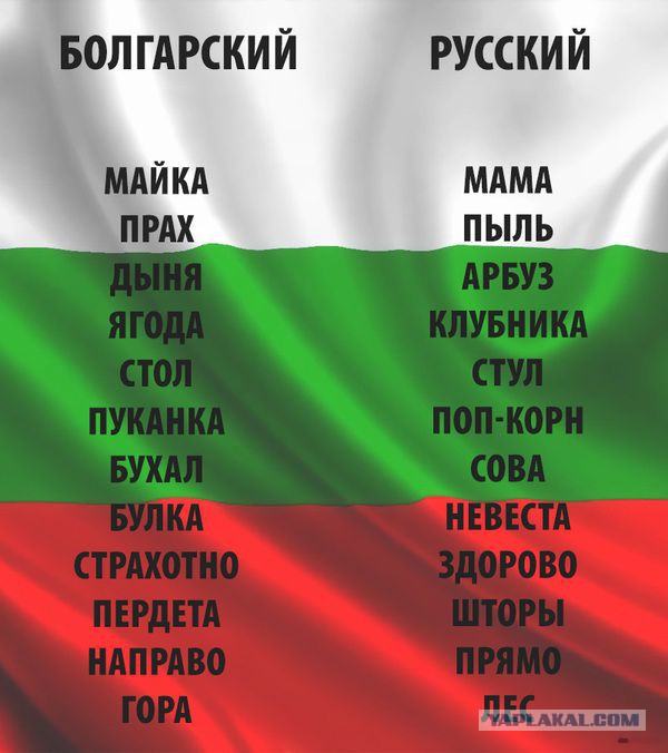 Свежие смешные комментарии из социальных сетей