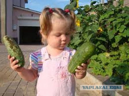 Чёрт, чёрт, чёрт!