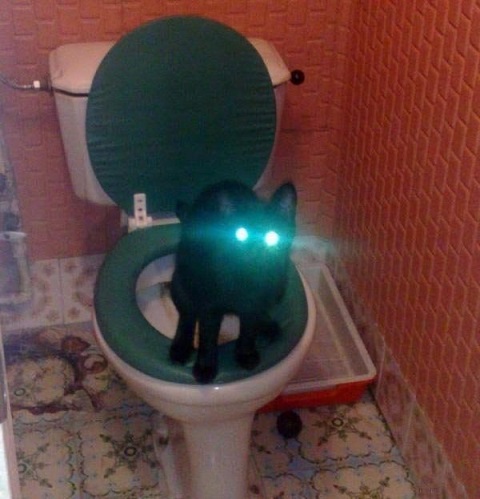 Чёрт, чёрт, чёрт!