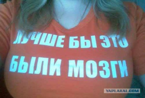 #BeeChallenge. Новая напасть (18+)