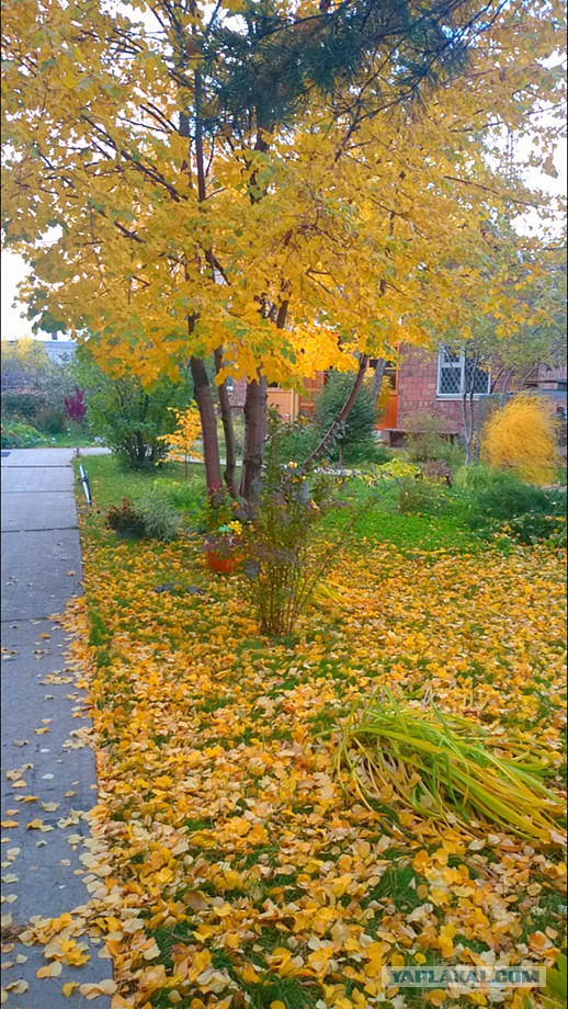 А что у Вас сейчас?