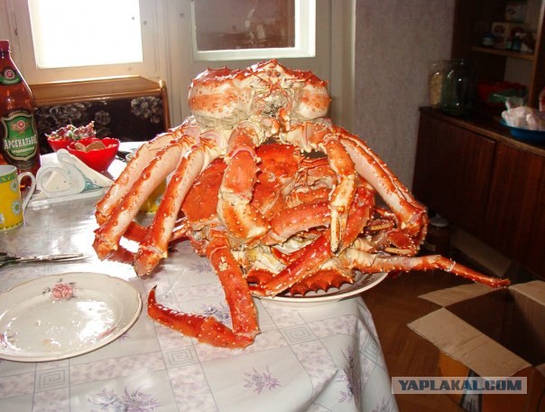 Руководство по морепродуктам