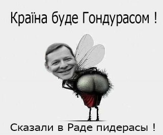 Ляшко затребовал поменять люстру в раде