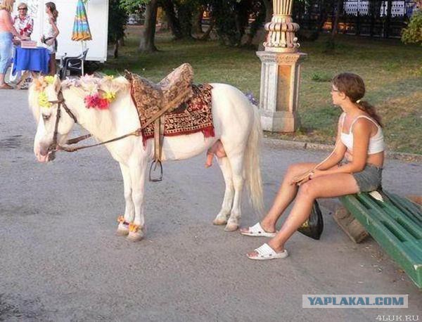 Немного людей из сети