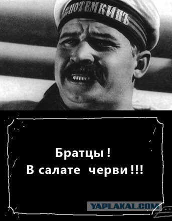 «Это даже нюхать нельзя»: корм украинских солдат