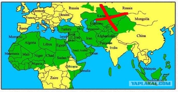 Армия Обороны Израиля