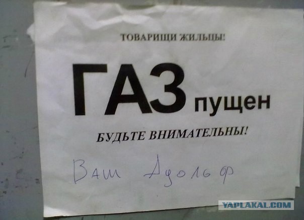 Картинки из интернета
