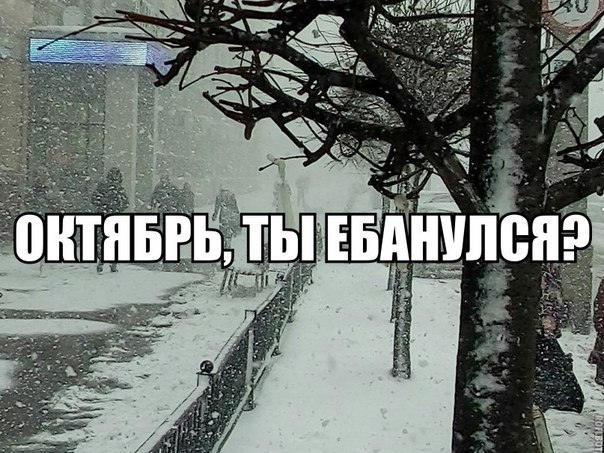 Веселые картинки