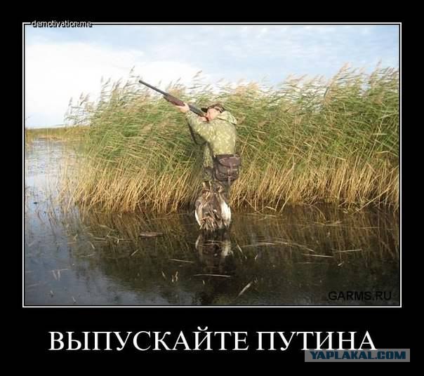 Путин с клювом в халате возглавил журавлиный клин