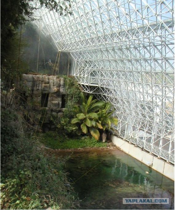 Провалившийся рай - невероятно отрезвляющий эксперимент