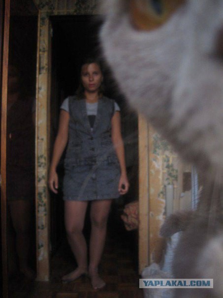 19 фотографий, где фон намного интересней переднего плана