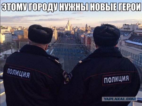 Картинки из интернетов