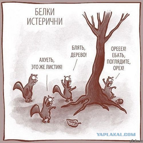 На Марсе кто-то наставил крестов