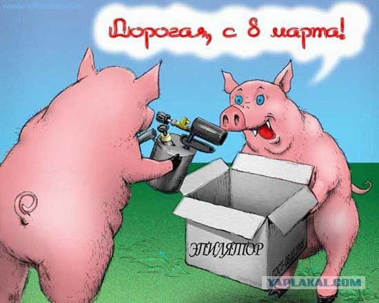 Соцсети - и смех и грех (2)