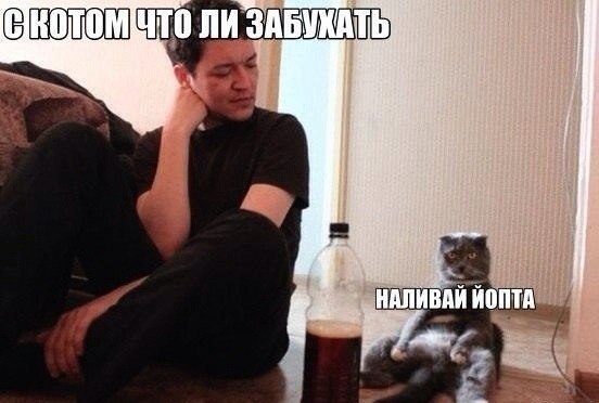 Когда животным делеть нехрен