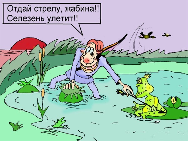 Приколы про лягушку картинки, мои