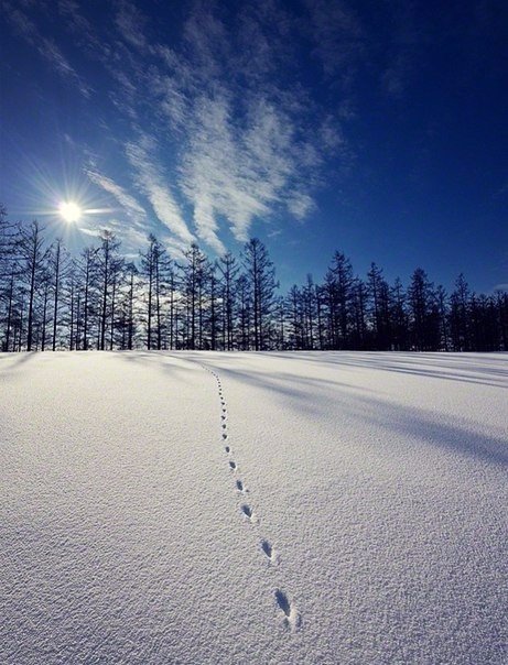 Подборка картинок