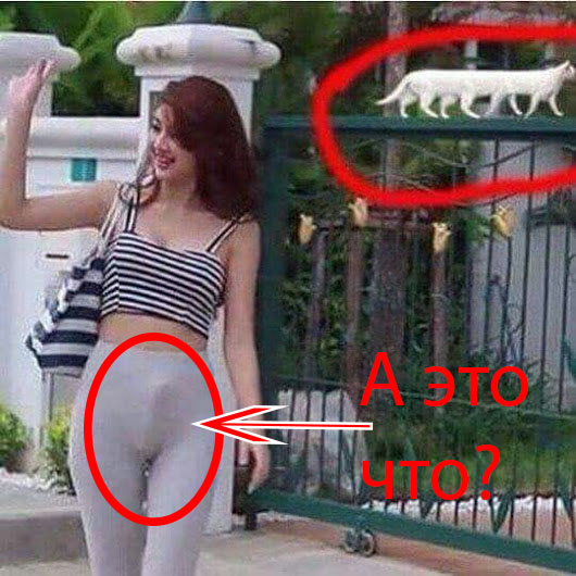 20 панорамных снимков, где что-то пошло не по плану