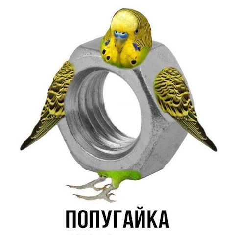 Просто картинки с сети