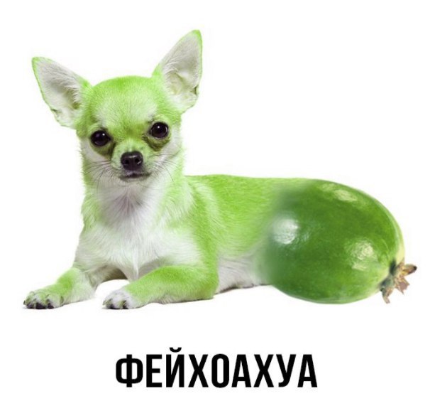 Шлакоблокунь и друзья