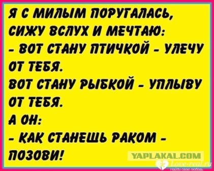 Картинки из интернета