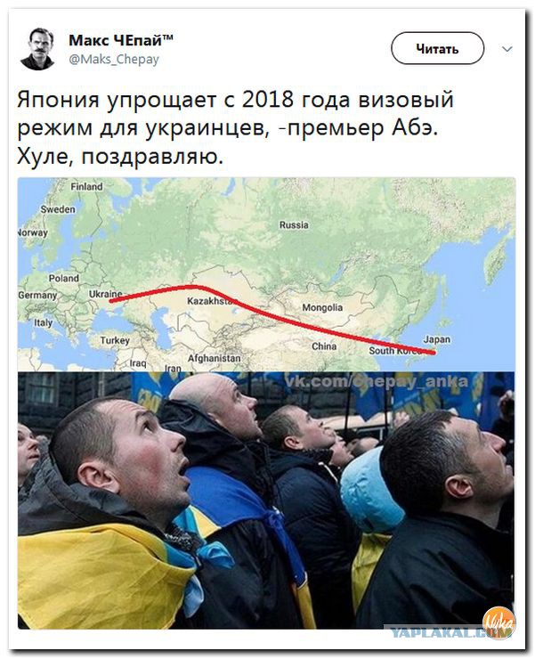 Смешные комментарии из социальных сетей 01.12.2017