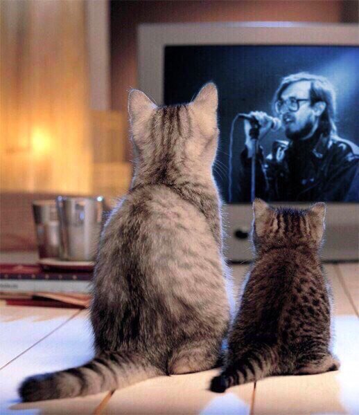 30 снимков, которые помогут улыбнуться даже в самый ненастный день