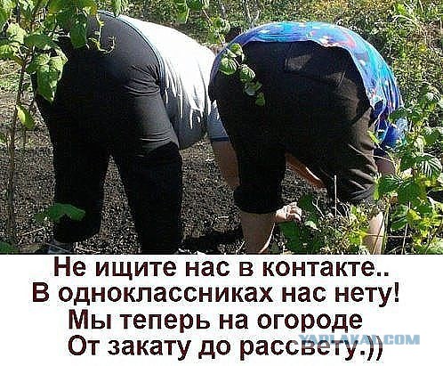 Почему российская дача убивает