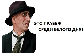 11657513.jpg