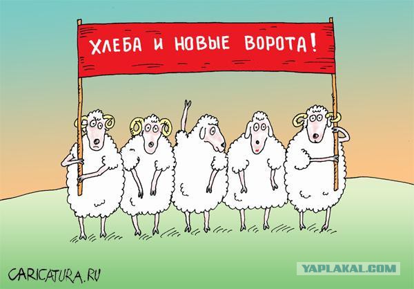 Немного про опен спейс в офисах