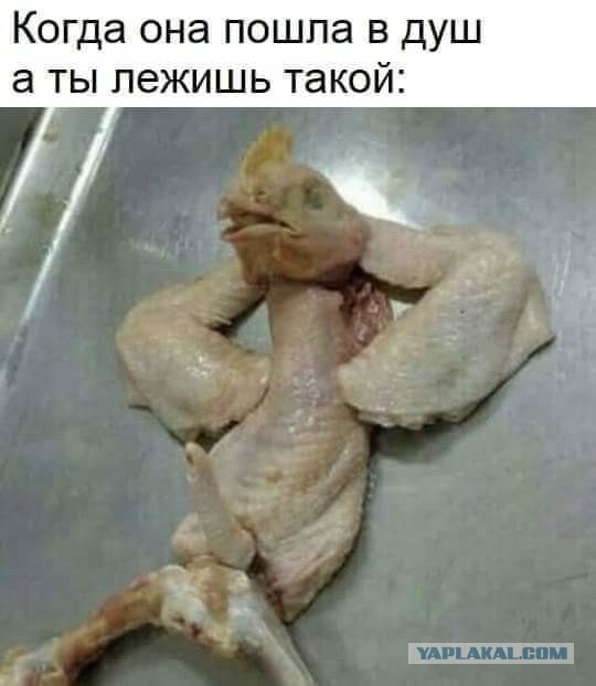 Разговорились с девушкой в поезде