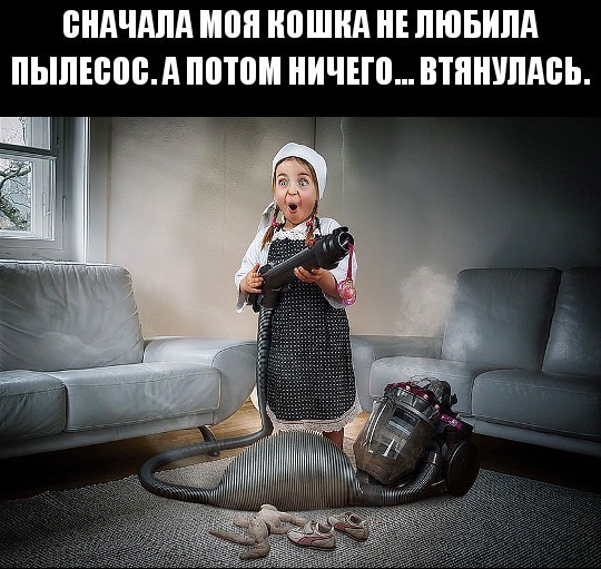 Чернушка на пятничку
