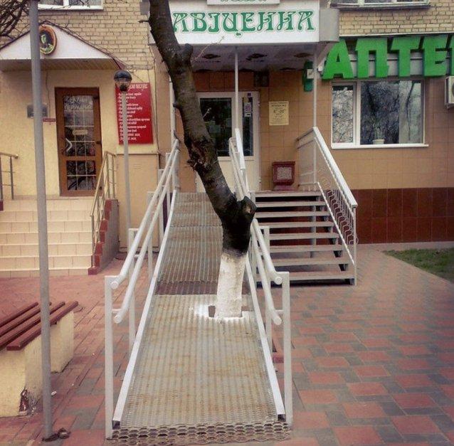 Немного позитива на выходные. Фото с "изюминкой"