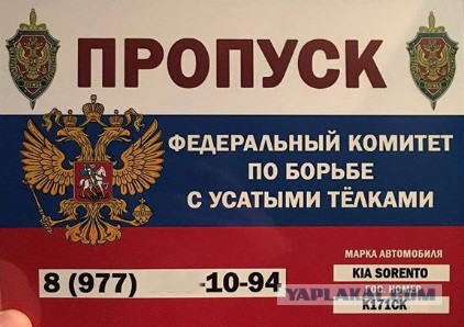 В Уфе на собрании Avon феминистки подрались с женщинами