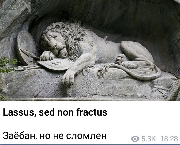 Латинские афоризмы